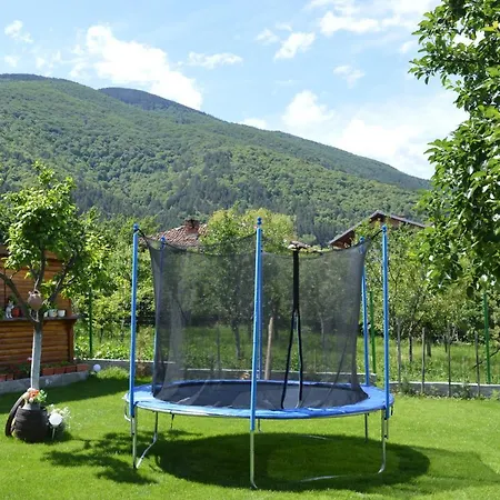 Vasilena *