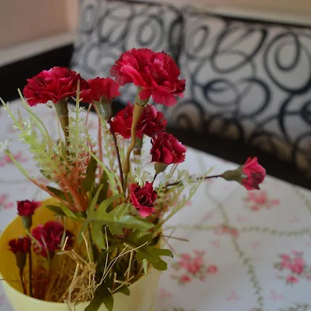 Къща за гости Vasilena самостоятелно наемане Free Parking 3*