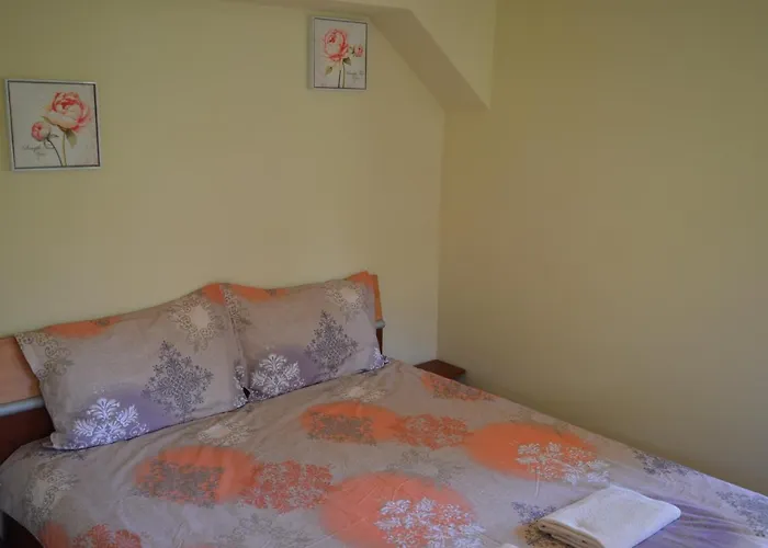 Vasilena самостоятелно наемане Free Parking Pensjonat Saparewa Banja