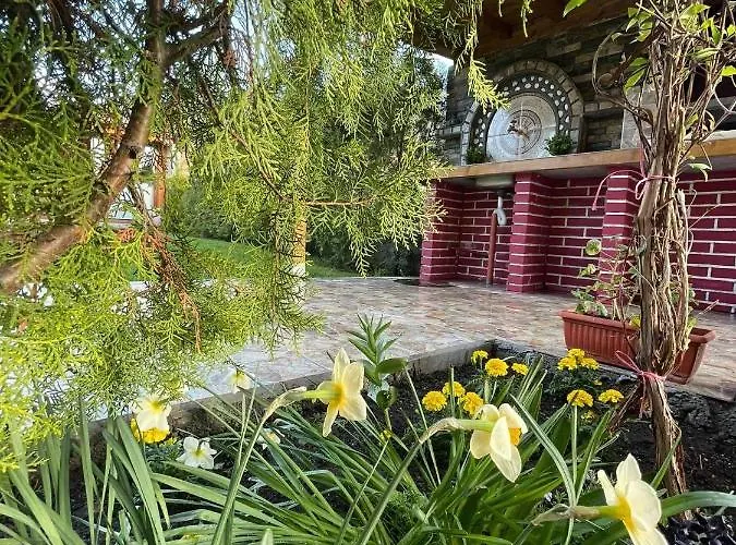 Pensjonat Vasilena самостоятелно наемане Free Parking Saparewa Banja