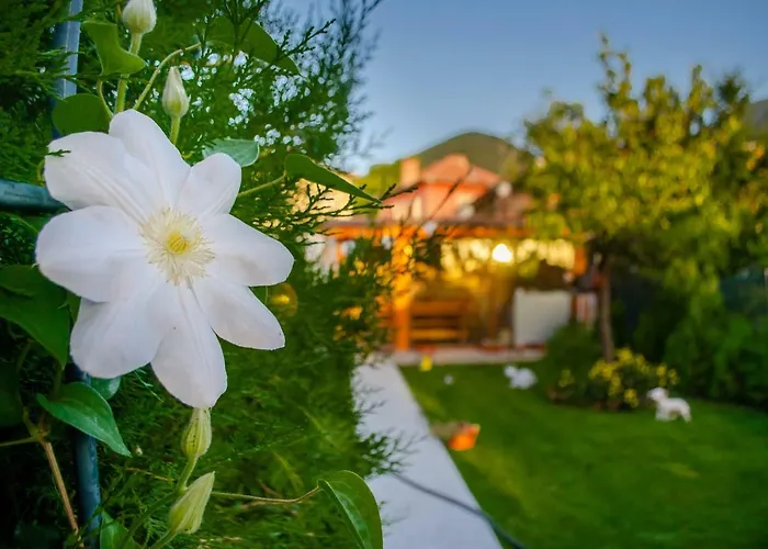 Vasilena самостоятелно наемане Free Parking Сапарева Баня